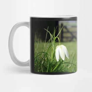 Fritillaria Meleagris Alba Mug